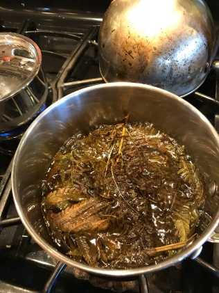 Mixed dye pot with bracken